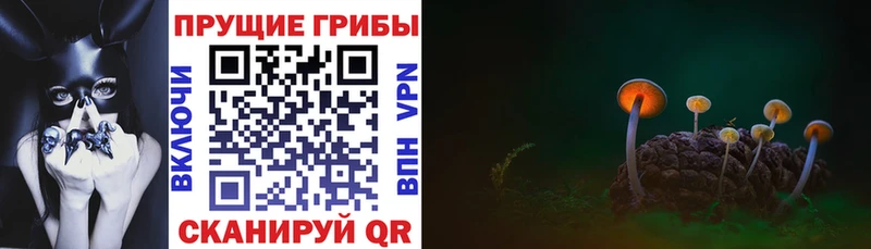 наркотики Воскресенск kraken маркетплейс Псилоцибиновые грибы Psilocybe